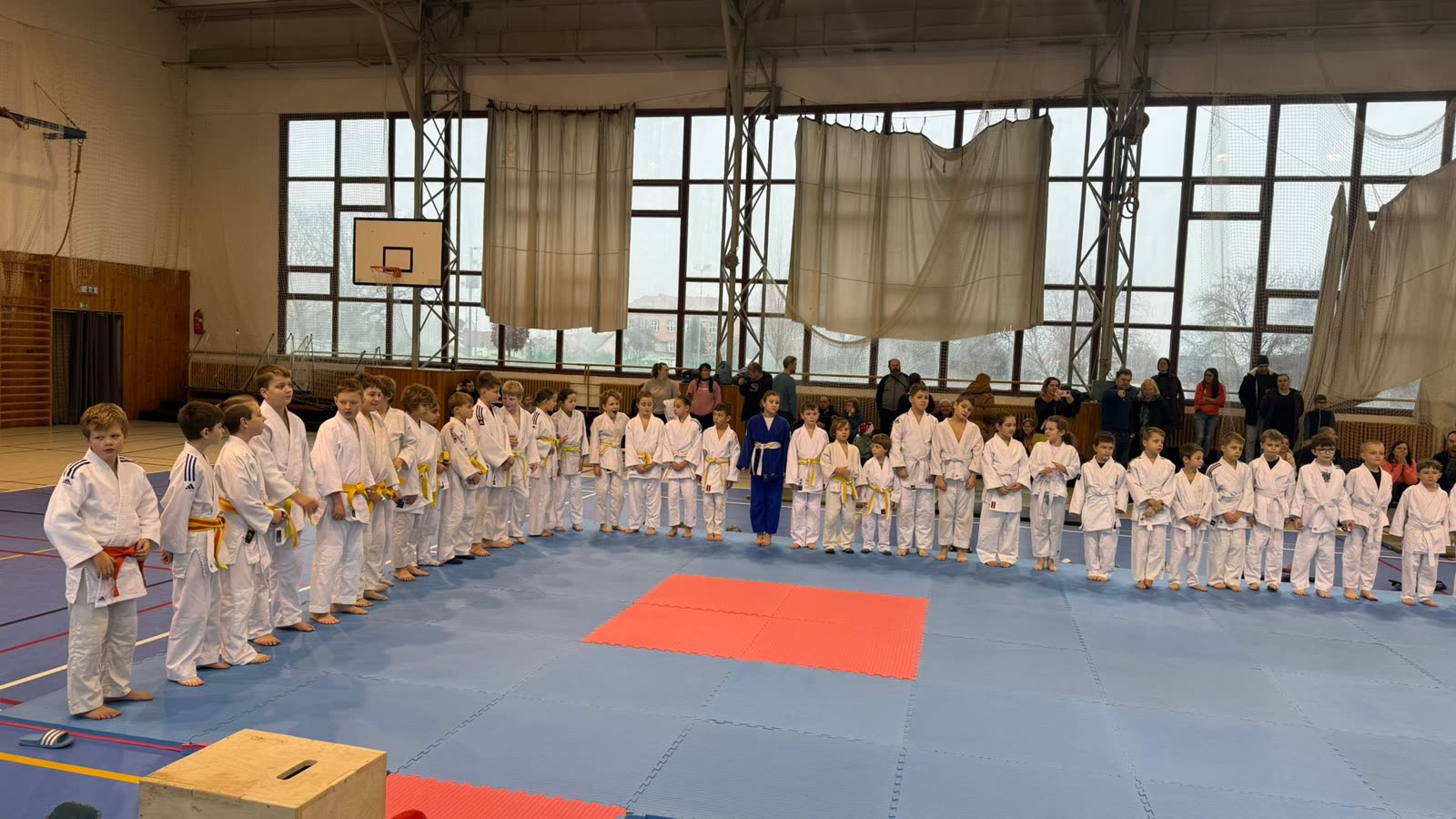Wide gym view — a row of judoka on tatami before a tournament